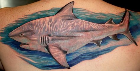 Bull Shark by Tony Adamson - Bull Shark Tattoo Ideas, Bull Shark Tattoo, Shark Tattoo Ideas, Cute Tats, Bull Shark, Shark Tattoo, Bear Tattoos, Shark Tattoos, Skin Art