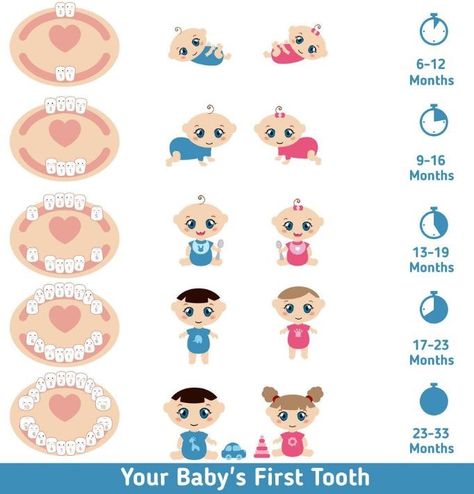 Baby Teething Chart, Teeth Whitening Mouthwash, Teething Chart, Teething Signs, Teeth Whitening Procedure, California Baby, Teething Baby, Teeth Bleaching, Baby Talk