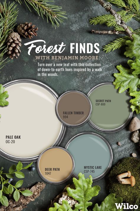 Sage House Interior Design, Cozy Home Color Pallete, Cool Color Schemes For The Home, Pacific Northwest Paint Colors, Boutique Walls Ideas, Blue Green Cream Colour Palettes, Farmhouse Accent Wall Colors, Cottage Core Paint Colors, Paint Pallets For Home Color Schemes