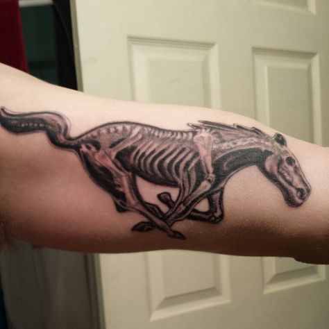 Mustang skeleton pony tattoo Skeleton Horse Tattoo, Mustang Horse Tattoo, Horse Skeleton Tattoo, Ford Mustang Tattoo, Ford Tattoo, Mustang Tattoo, Horse Skeleton, Horse Mustang, Square Tattoo