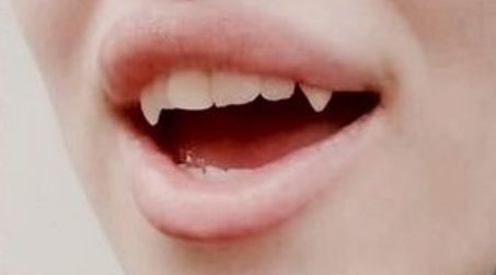 Sharp Fangs Teeth, Small Fangs Aesthetic, Fangs Aesthetic Male, Permanent Fangs, Vampire Fangs Aesthetic, Fangs Smile, Small Fangs, Fangs Aesthetic, Vampire Bites