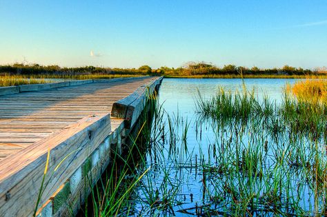 Galveston Island State Park | Boardwalk - Galveston Island State Park | Flickr - Photo Sharing! Day Trips From Houston, Gulf Coast Vacations, Texas Adventure, Best Places To Vacation, Cruise Pictures, Texas Coast, College Station Texas, Texas Places, Lone Star State