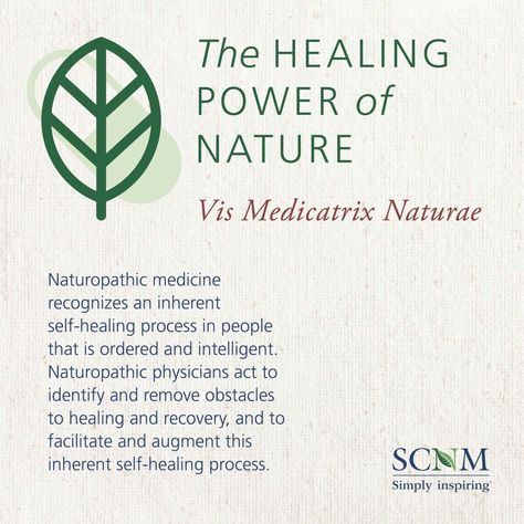 Naturopathy principle Naturopathy Quotes, Living Holistically, Doctor Stuff, 5th Element, Herbal Therapy, Qigong Exercises, Medical Quotes, Healing Practices, Naturopathic Medicine