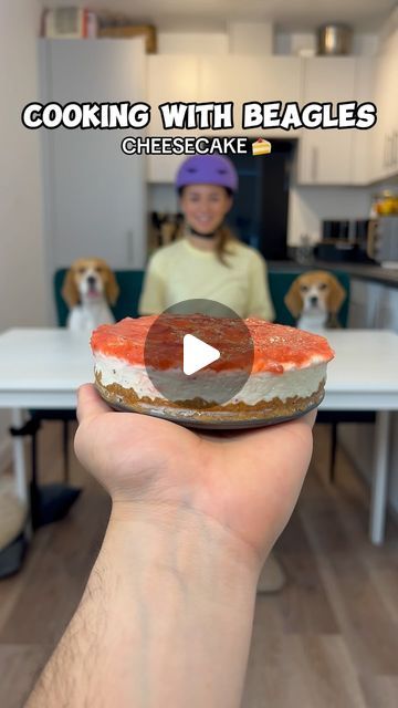 Kiki & Koko | Beagles 🐶 on Instagram: "Mum came READY this time 💪🏼😎

This was definitely the STICKIEST cooking session 🤣🤣 Give a beagle a teaspoon of peanut butter and they’ll love you FOREVER! 

Would you try this recipe for your dog? You can find the full recipe on @hundeoapp 

#beagle  #viral #viralvideos #dog #funnydog #cookingwithbeagles #cookingwithdog #dogparent #naughtybeagle" Cooking With Beagles, Beagle Funny, Beagle Gifts, Cute Beagles, Beagle Dog, Dog Parents, Chicken Nuggets, Love You Forever, You Tried