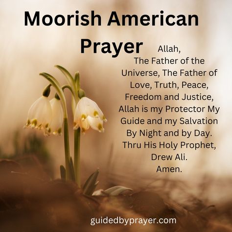 Moorish American prayer is a practice that combines elements of Islam, Christianity, and Judaism, along with African spirituality and indigenous traditions. Indigenous Traditions, Moorish Science, African Spirituality, Medicine Woman, Black Women, Spirituality, Science, Black