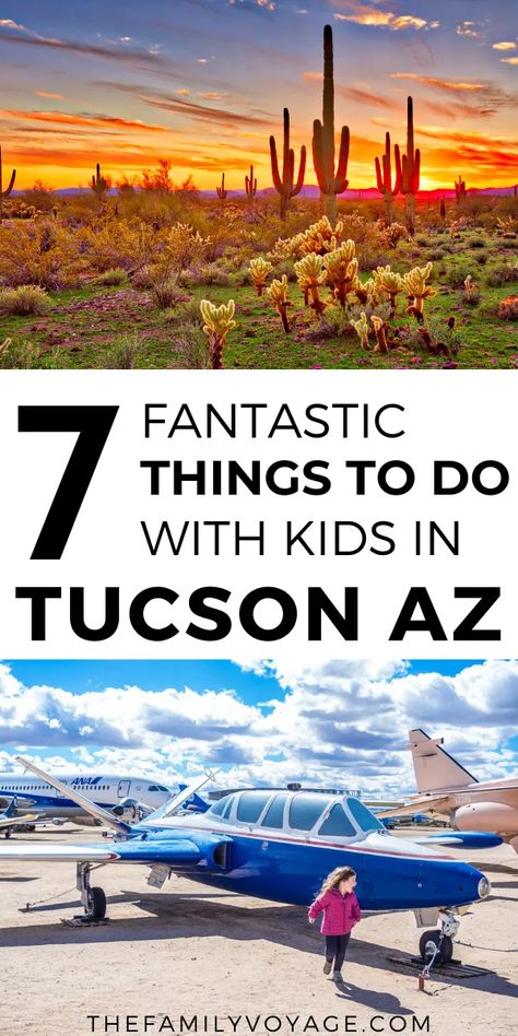 Tucson Az Things To Do In, Tucson Arizona Things To Do, What To Do In Tucson Arizona, Arizona With Kids Things To Do, Arizona With Kids, Trip Hacks, Saguaro National Park, Arizona Vacation, Desert Life