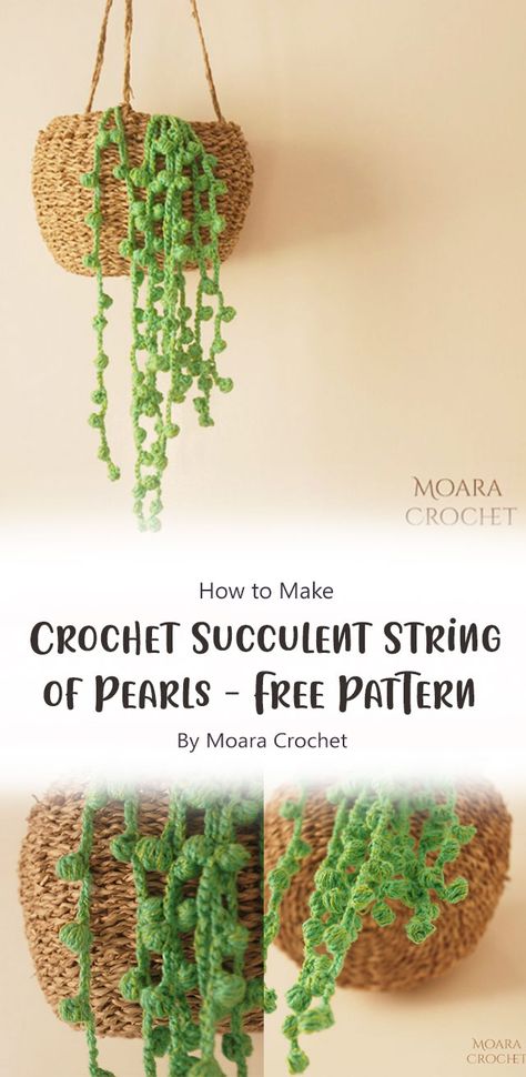 Crochet Craft Fair, Crochet Succulent, String Of Pearls Plant, Gifts Crochet, Crocheting Patterns, Beginners Crochet, Gift Crochet, Crochet Plant, Valentines Crochet