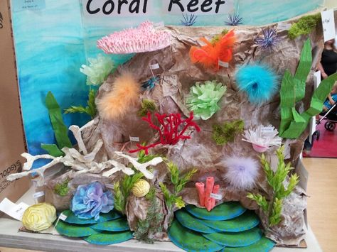 Here it is! Dylan's coral reef project. He spent 3 hours just on the table coral made out of qtips Coral Reef Project, Coral Reef Craft, Shoebox Project, Ocean Diorama, Ocean Animal Crafts, Ocean Habitat, Underwater Party, Ocean Projects, Underwater Theme