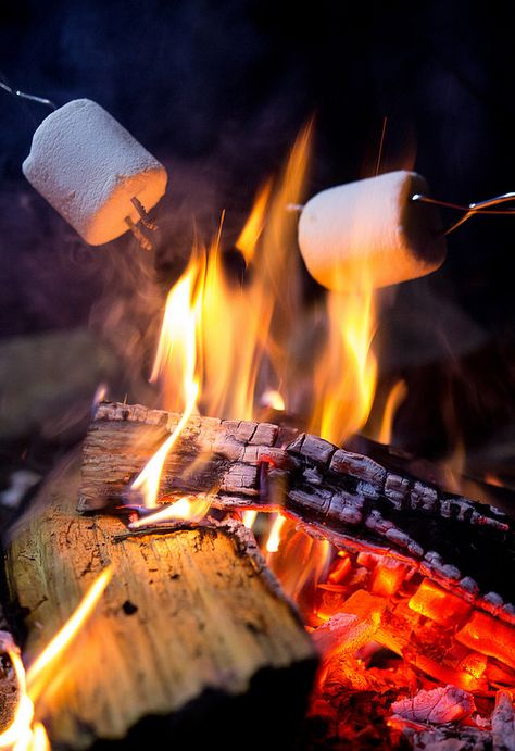 Day 313 - Campfire - A camp out is not complete without smores #photoaday #project365 #Brownies #GirlScouts #fire #Smores #Marshmallows S’mores Over Fire, Campfire Images, Smores Aesthetics, Foto Camping, Campfire Photography, Tiktok Perfume, Smores Night, Marshmallow Fire, Smores Marshmallows