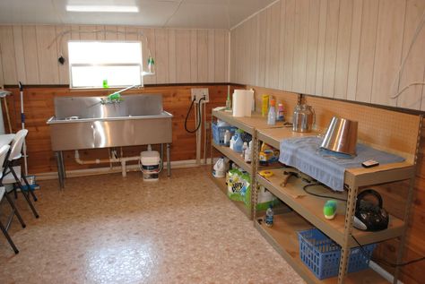 Dairy Goat Milk Parlor Goat Milking Parlor, Milk Parlor, Finance Student, Barn Organization, Goat Ideas, Parlour Design, Feed Room, Goat Milking, Stable Ideas