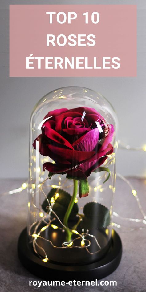 Faites la découverte des 10 plus belles Roses Éternelles. Nous avons réalisé ce classement afin de t'aider à trouver la Rose Éternelle sous cloche idéale. Que ce soit pour ta décoration intérieure, décoration maison ou encore un cadeau de fête des mères, les fleurs artificielles sont parfaites. La Rose Éternelle la belle et la bête est l'un des roses les plus populaires, à toi de découvrir celle qui te convient le mieux. Déco Rose Éternelle. #roseeternelle #decorationinterieure #fetedesmeres Rose Belle, Fleurs Diy, Deco Rose, Belle Rose, Des Roses, La Rose, Glass Vase, Top 10, Vase