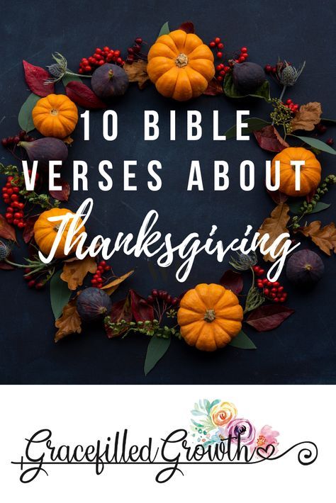 10 Bible verse about Thankfulness. Thanksgiving, Giving thanks. What does God say about Gratitude. Scripture. Be grateful. Thanksgiving Quotes Inspirational Bible, Week Of Thanksgiving Quotes, Bible Verse About Giving Thanks, Thanksgiving Grateful Ideas, Thankful Inspirational Quotes, Bible Thankful Quotes, Verses On Thankfulness, Bible Verse About Being Thankful, Scriptures On Thankfulness