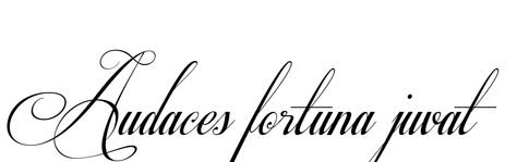 Audaces Fortuna Iuvat Tattoo, Fortune Favors The Bold Tattoo, Audaces Fortuna Iuvat, Bold Tattoo, Tattoo Quote, Small Quote Tattoos, Fortune Favors The Bold, Quote Tattoos, Music Tattoo