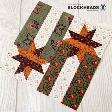 BH5 – Group 2, Block 11 – Stacy Iest Hsu | modafabrics.com Sawtooth Star Block, Sawtooth Star Quilt Block Variations, 12 Inch Ohio Star Quilt Block, 12 1/2 Inch Star Quilt Block Patterns Free, Mistake Star Quilt Block, Grandmother Quilt, Jelly Roll Patterns, Block Head, Quilt Block Patterns Free