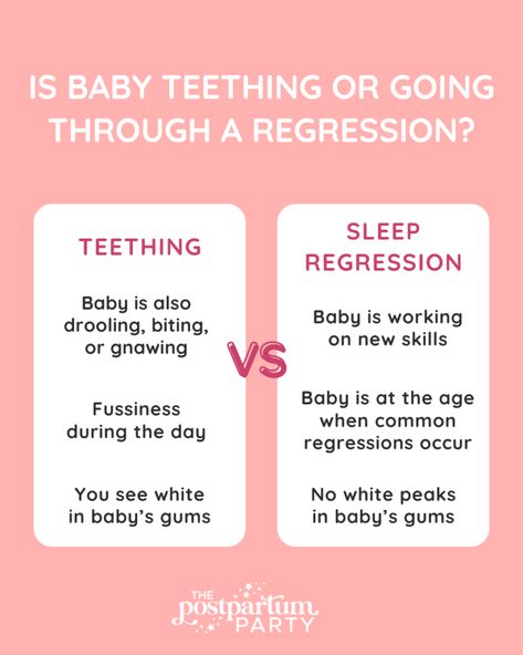 Is Your Baby Teething or Going Through a Sleep Regression? Babywise Schedule, Healthy Book, Baby Gums, Sleep Consultant, Baby Teething, Sleep Schedule, Sleep Problems, Sleep Training, How To Get Sleep