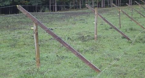 Deer Proof Garden, Garden Fencing Ideas, What Is A Conservatory, Deer Fencing, Deer Garden, Deer Resistant Garden, Deer Proof, Berry Garden, Deer Fence