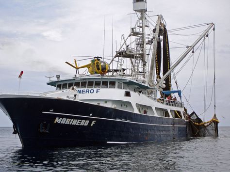 10 June 2014.  Unpublished fishing decree causes environmentalists, fishermen, tuna company to argue. Tuna Boat, Fishing Pontoon Boats, Fishing Organization, Tuna Fishing, Boat Drawing, Eco Hotel, Fishing Vessel, Pontoon Boat, Fishing Boat