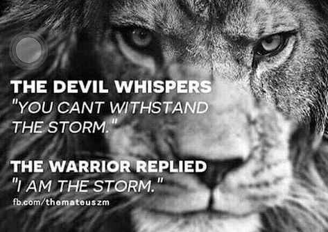 Lion Quotes, Warrior Quotes, Lion Of Judah, A Lion, The Devil, The Storm, A Quote, The Words, Great Quotes