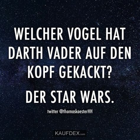 Welcher Vogel hat Darth Vader auf den Kopf gekackt? Der Star Wars. Happy Painting, Star Wars Quotes, Star Wars Film, Star Wars Party, Silly Jokes, Funny As Hell, Star Wars Humor, Star Wars Memes, Star Wars Characters