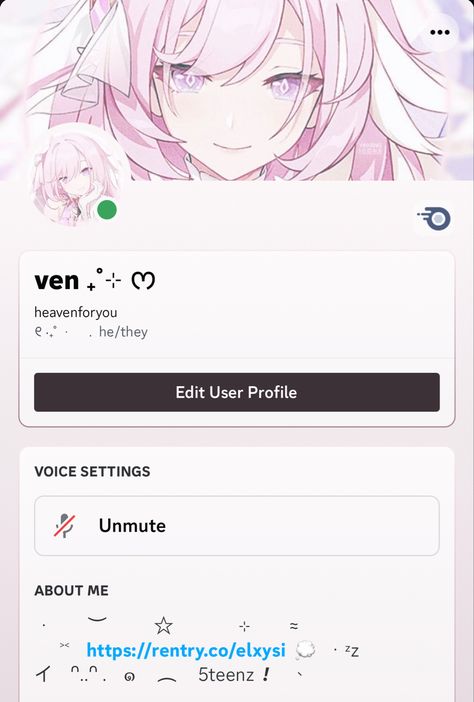 Pink Discord Pfp Nitro, Discord Inspo Profile, Aesthetic Discord Profile, Discord Profile Ideas, Elysia Honkai Impact, Discord Bio, Usernames Para Instagram, Elysia Honkai, Discord Ideas