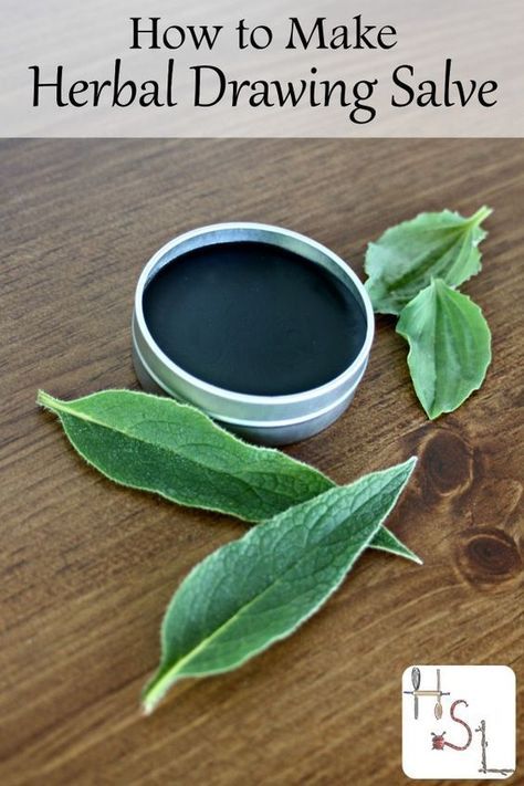 Get rid of splinters, slivers, stingers, and more from the skin by learning how to make herbal drawing salve with this simple and natural DIY project. Drawing Salve, Salve Recipes, Herbal Salves, Seasonal Living, Herbal Recipes, Herbal Apothecary, Natural Healing Remedies, Herbal Healing, Natural Diy