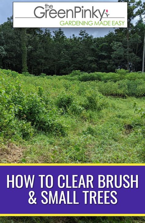 Clearing Brush, Smart Method, Land Clearing, Farm Plans, Yard Waste, Top Soil, Backyard Makeover, Yard Work, How To Buy Land