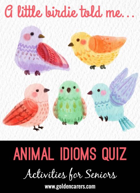 Challenge your clients to guess what these popular idioms mean! A fun and engaging activity for seniors that will have them laughing and reminiscing. Art Projects For Seniors, Sensory Art Projects, Projects For Seniors, Animal Idioms, Activity For Seniors, Seniors Activities, Assisted Living Activities, Activities Director, Calendar Planning