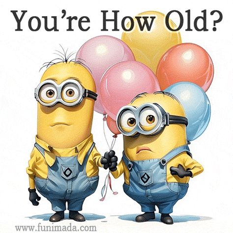 Happy birthday GIF funny Happy Birthday Male, Birthday Male, Happy Birthday Gif, Old Funny, Birthday Gifs, Minion Gif, Birthday Wishes And Images, Birthday Congratulations, Birthday Clipart