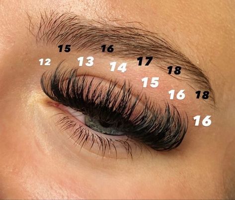 Eyelash Extensions Retention, Different Lash Extension Styles Names, Lash Extensions Layout, Eyelash Extension Ideas, Whispy Lashes Extensions Map, Wispy Lash Extensions Mapping, Eyelash Extensions Mapping Styles, Hybrid Lash Extensions Map, Lash Extension Ideas