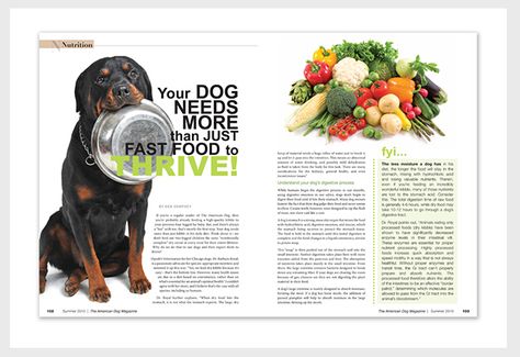 Image result for animal magazine layouts Editorial Layout Inspiration, Pet Magazine, Animal Magazines, Catalogue Layout, Magazine Design Inspiration, 잡지 레이아웃, Graphic Layout, Dog Magazine, Magazine Layouts