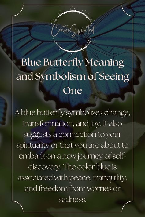 Meaning Of Blue Butterfly, Blue Butterfly Symbolism Meaning, Blue Butterfly Symbolism, Blue Butterfly Tattoo Meaning, Blue Butterfly Spiritual Meaning, Butterfly Types And Meanings, What Does A Butterfly Tattoo Symbolize, Blue Butterfly Quotes, Blue Dragonfly Meaning