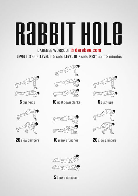 Rabbit Hole Workout Therian Workout, Easy Daily Workouts, Up Down Plank, Strength Building Workouts, Calisthenics Workout For Beginners, Army Workout, Full Body Exercises, Workouts For Men, 75 Hard