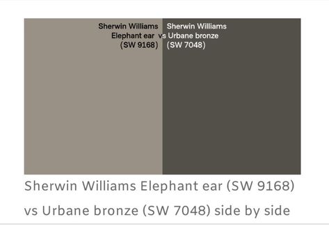 Sherwin Williams Elephant Ear Exterior, Elephant Ear Exterior Paint, Elephant Ear Sherwin Williams, Urbane Bronze, Elephant Ears, Front Elevation, Sherwin Williams, New Builds, Exterior Paint