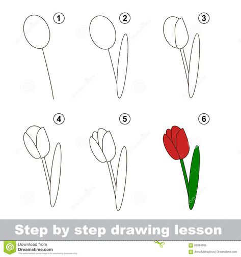 Drawing Tutorial. How To Draw A Tulip Stock Vector - Illustration of flower, drawing: 65084595 How To Draw Nature, Draw A Tulip, Nature Doodles, Draw Nature, Trin For Trin Tegning, Tulip Drawing, Easy Flower Drawings, Flower Drawing Tutorials, Nature Drawing