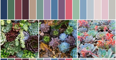 Succulent inspired color palette Succulent Color Palette, Colour Bridesmaid Dresses, Color Bridesmaid Dresses, Glasshouse Wedding, Unbreakable Vow, Glass House Wedding, Unique Wedding Colors, Fall Wedding Color Schemes, Wedding Color Scheme