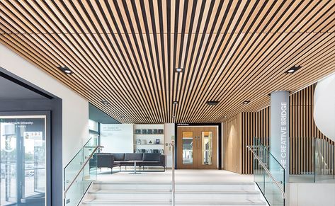 Timber acoustic panels and suspended timber ceilings Wood Panel Lighting, Wood Ceiling Panels, Wood Slat Ceiling, Acoustic Ceiling Panels, Timber Battens, Timber Slats, Timber Ceiling, Wood Slat Wall, Timber Walls