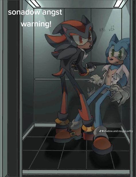 Sonic X Shadow Fanart, Sonic Anime, Draw Sonic, How To Draw Sonic, Shadow Sonic, Sonic Franchise, Hedgehog Art, Sonic And Shadow, Sonic Fan Art