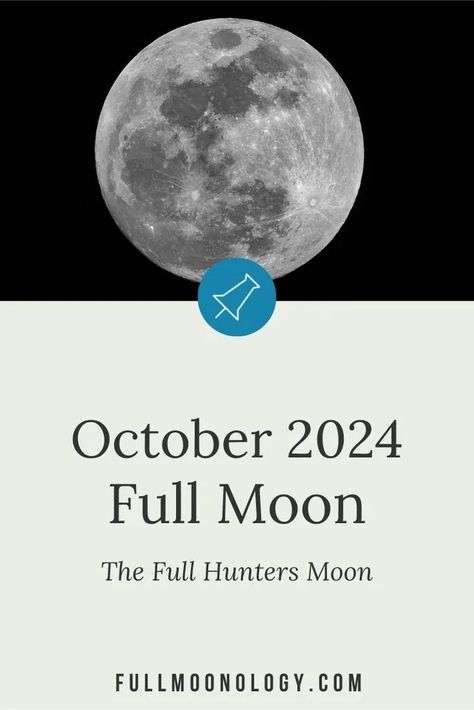 Information about the full moon in October 2024, also called the Full Hunter's Moon Hunters Moon 2024, Full Moon October 2024, October Full Moon, Fool Moon, Hunters Moon, Moon Hunters, Moon Date, Autumnal Equinox, Moon Calendar