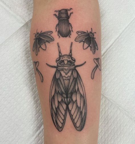 Cicada Tattoo, S Tattoo, Forearm Tattoo, Tattoo Inspo, Tattoos And Piercings, Flower Tattoo, Tatting, Tattoo Ideas, Piercings