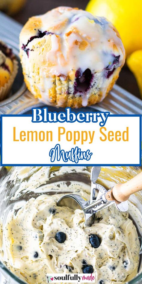 These bakery-style blueberry lemon poppy seed muffins are fluffy, moist, and loaded with bright lemon and fruity blueberry flavor! Lemon Poppy Muffins, Paleo Muffin Recipes, Poppy Seed Muffin Recipe, Lemon Poppy Seed Muffins Recipe, Lemon Muffin Recipes, Lemon Poppy Seed Muffins, Muffin Flavors, Seed Muffins, Poppy Seed Muffins