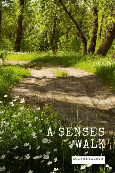 The 5 Senses, Botanical Sketchbook, Our Senses, Exploring Nature, Outdoor Education, 5 Senses, Nature Walk, Forest School, Nature Study