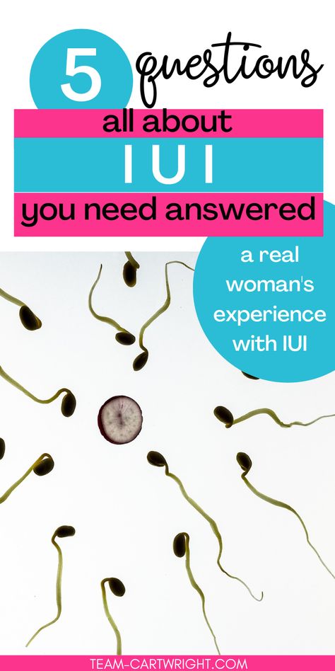 Text: 5 Questions all about IUI you need answered. A Real Woman's Experience with IUI.
Picture: Sperm swimming toward an ovum. Iui Success Stories, Iui Procedure, Iui Success, Fertilization Process, Gender Selection, Fertility Spells, Nurse Cartoon, Artificial Insemination, In Vitro Fertilization