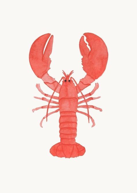 Lobster Aesthetic, Lobster Drawing, Maine Lobster Festival, Summer Drawings, David Foster Wallace, Sea Goddess, David Foster, Mr Krabs, Literature Review