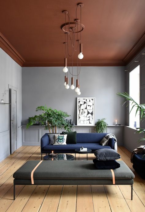 rust painted living room ceiling with gray walls Furnitur Ruang Keluarga, Rustic Farmhouse Living Room, Colored Ceiling, Living Room Ceiling, Brown Living Room, Painted Ceiling, Design Del Prodotto, Living Room Colors, Decor Minimalist