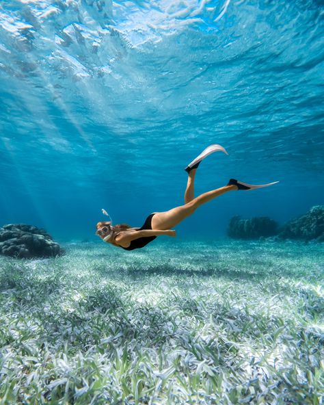 Snorkelling in Belize 🇧🇿 🤿 Exploring the vibrant underwater world of Belize was like diving into a dream. Home to the second-largest barrier reef in the world, the marine life here is on another level—it’s hands down the best snorkelling I’ve ever experienced! 🙌🏼 From gliding alongside sharks and turtles to spotting different rays, starfish, and other tropical marine life, every moment was pure magic. 🦈🐠🦞🐢 The combination of vibrant coral reefs and crystal-clear blue waters is breathtaking... Clear Blue Water, Belize Travel, Coral Reefs, The Marine, Underwater World, Coral Reef, Marine Life, Sharks, Dream Home