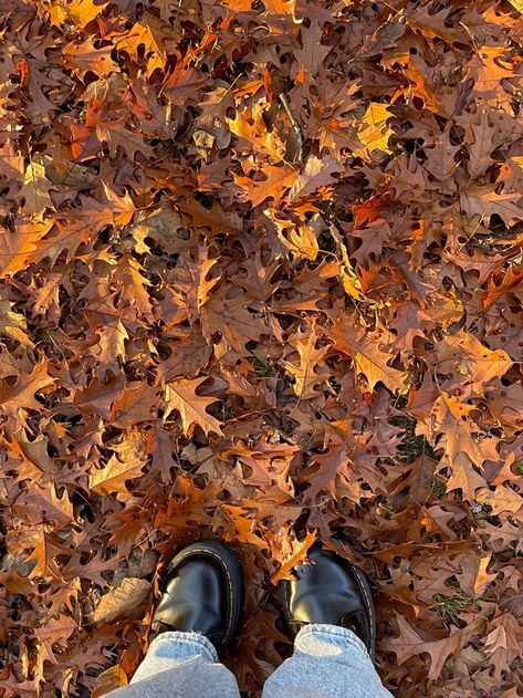 Fall Aesthetic Pictures, Modern Blouse, Studera Motivation, Herbst Bucket List, Gilmore Girls Seasons, Bracelet Sleeve, Fall Mood Board, Asymmetric Top, Autumn Magic