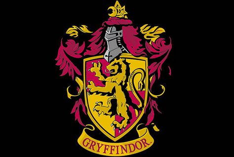 The Hogwarts houses in Harry Potter stay pretty much the same in most of… Gryffindor Symbol, Harry Potter 3d, Harry Potter Crest, Harry Potter Logo, Gryffindor House, Harry Potter Hogwarts Houses, Harry Potter Wall, Gryffindor Crest, Harry Potter Kids