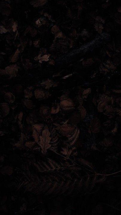 Plain Brown Wallpaper Aesthetic, Dark Brown Wallpaper, Dark Brown Aesthetic, Dark Dark Brown, Brown Eyes Aesthetic, Autumn Wallpapers, Eyes Aesthetic, Wattpad Cover, Dark Autumn