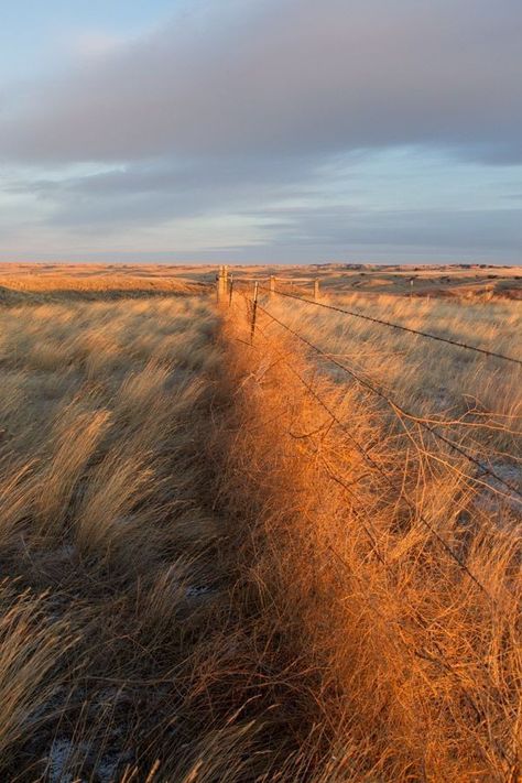 Farmland Aesthetic, Dune Landscape, Great Plains, Open Field, Barbed Wire, Big Sky, Grasses, South Dakota, Landscape Photos