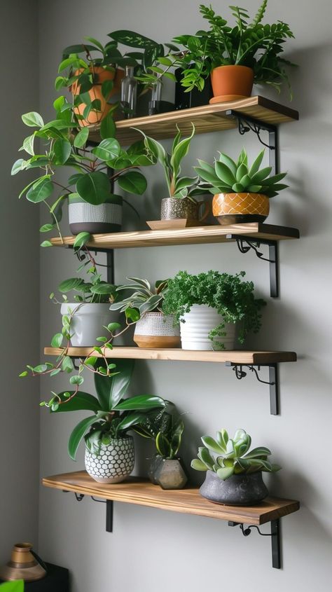 Plant Shelf Design Ideas - Remodr Floating Shelf For Plants, Indoor Plant Shelves, Hanging Wall Planters, Geometric Shelves, Rustic Wooden Shelves, Floating Corner Shelves, نباتات منزلية, Garden Shelves, Plant Shelf